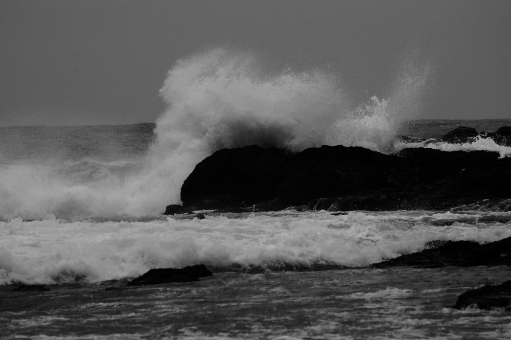 Welle, Mornington Peninsula