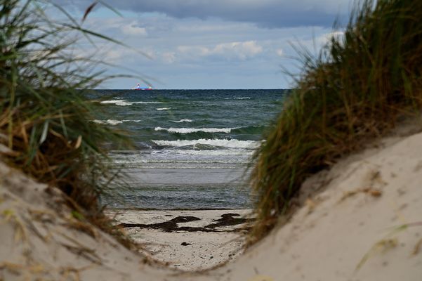 ... w..e..l..l..e..n.. ...