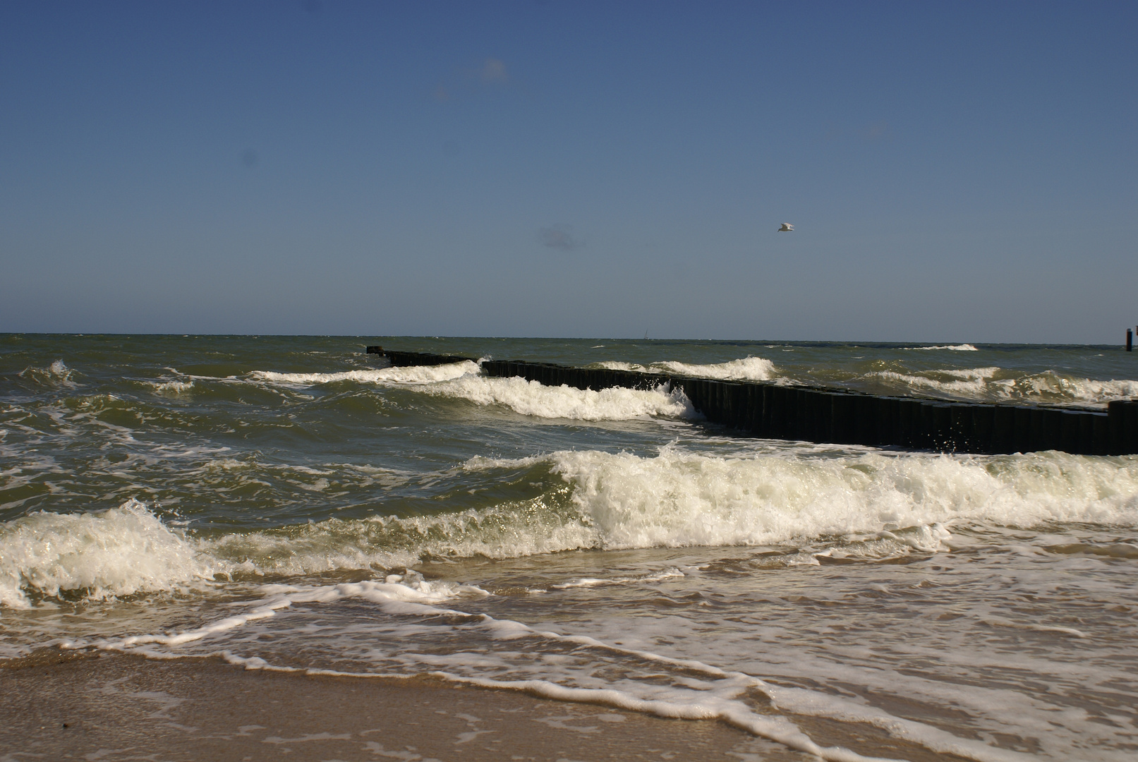 Wellen am Strand in Kübo