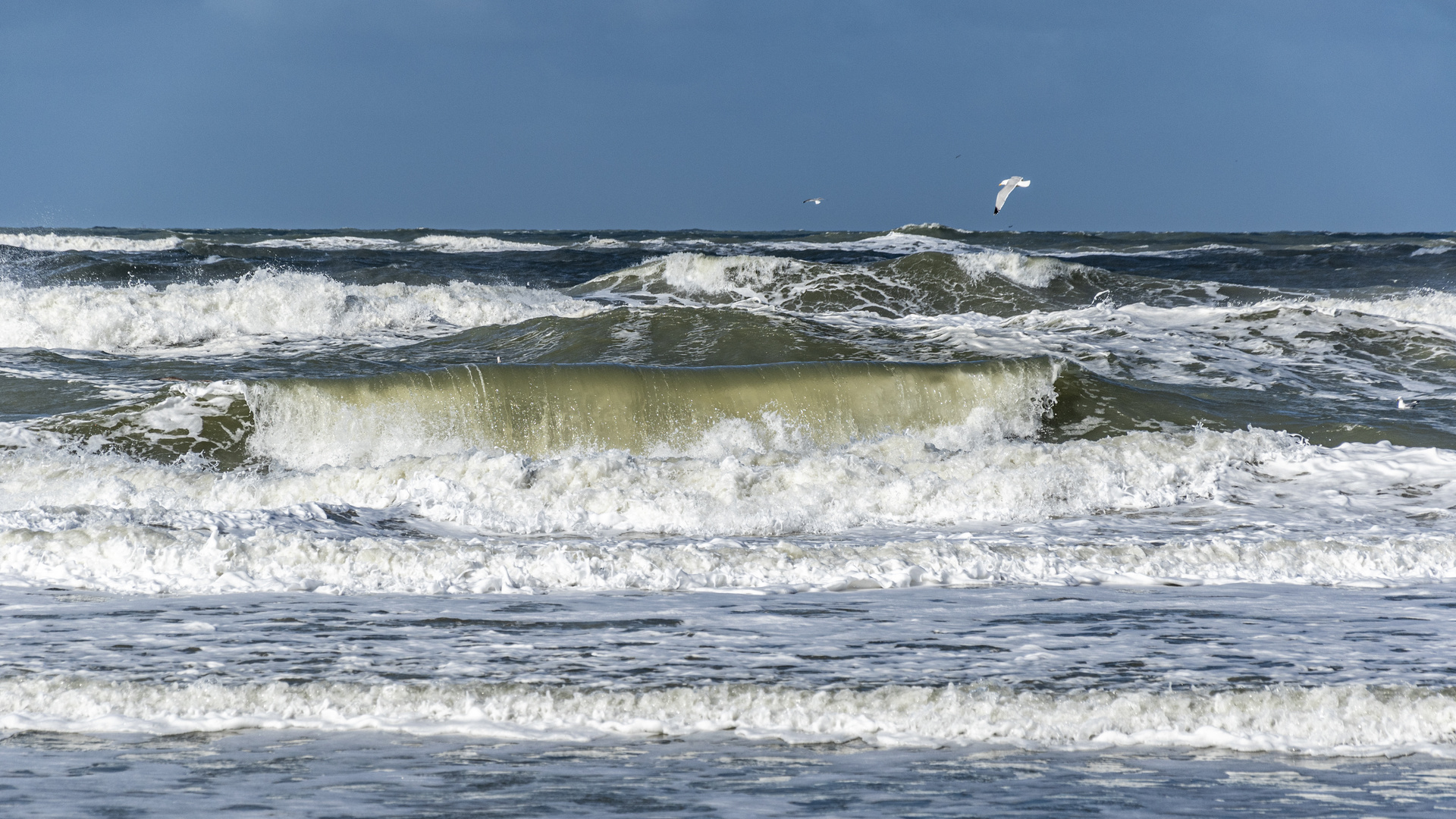 Wellen am Strand von Texel