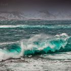 Wellen auf den Lofoten