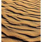 Wellen aus Sand