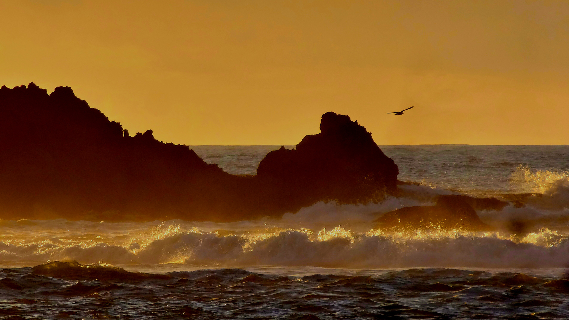 Wellen bei Sonnenuntergang.
