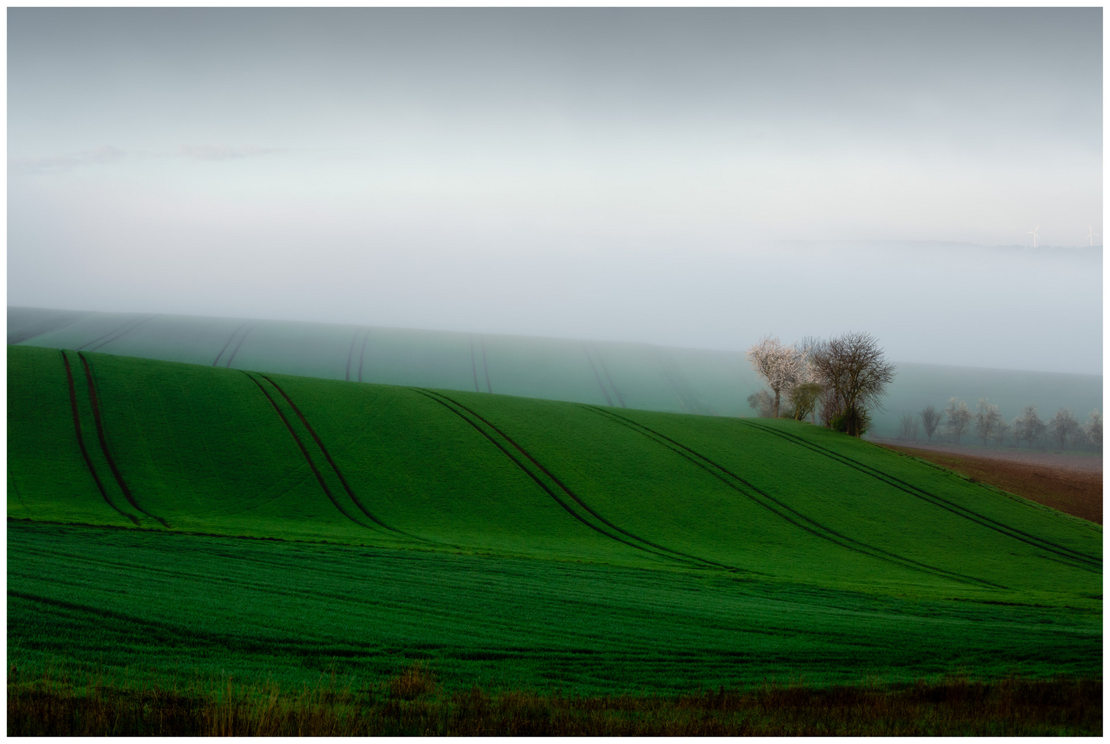 ~~ Wellen im Nebel ~~