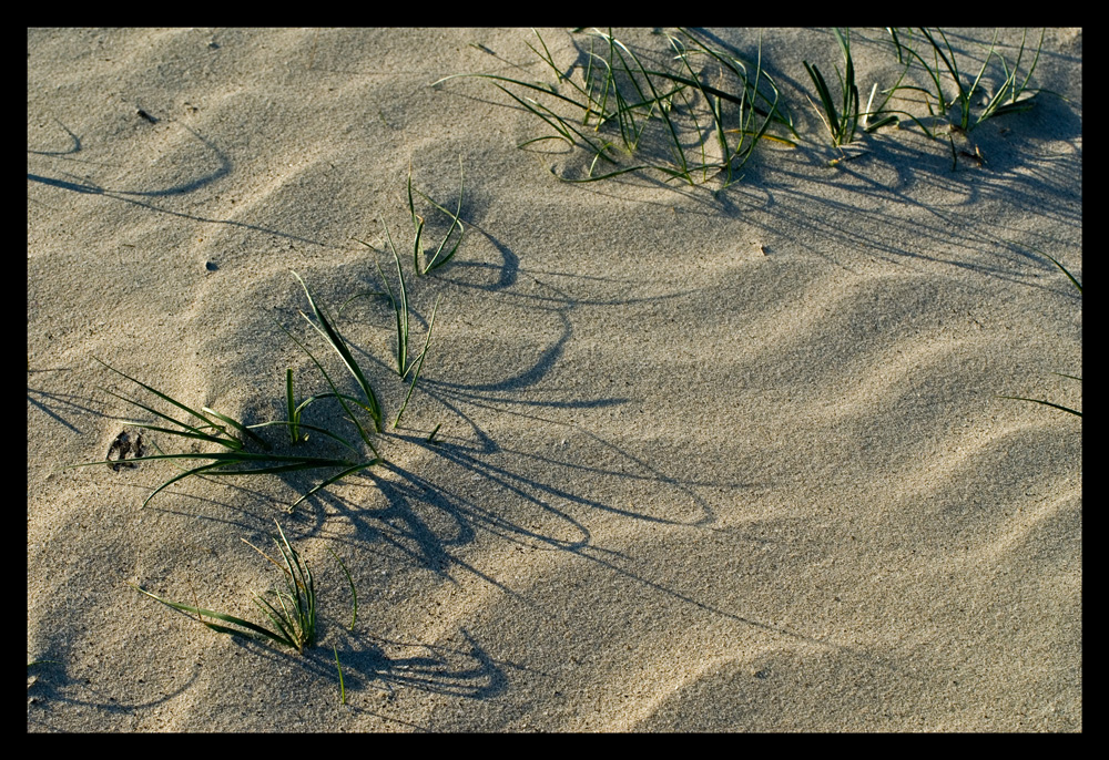 Wellen im Sand