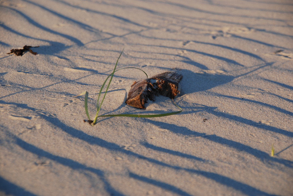 Wellen im Sand !