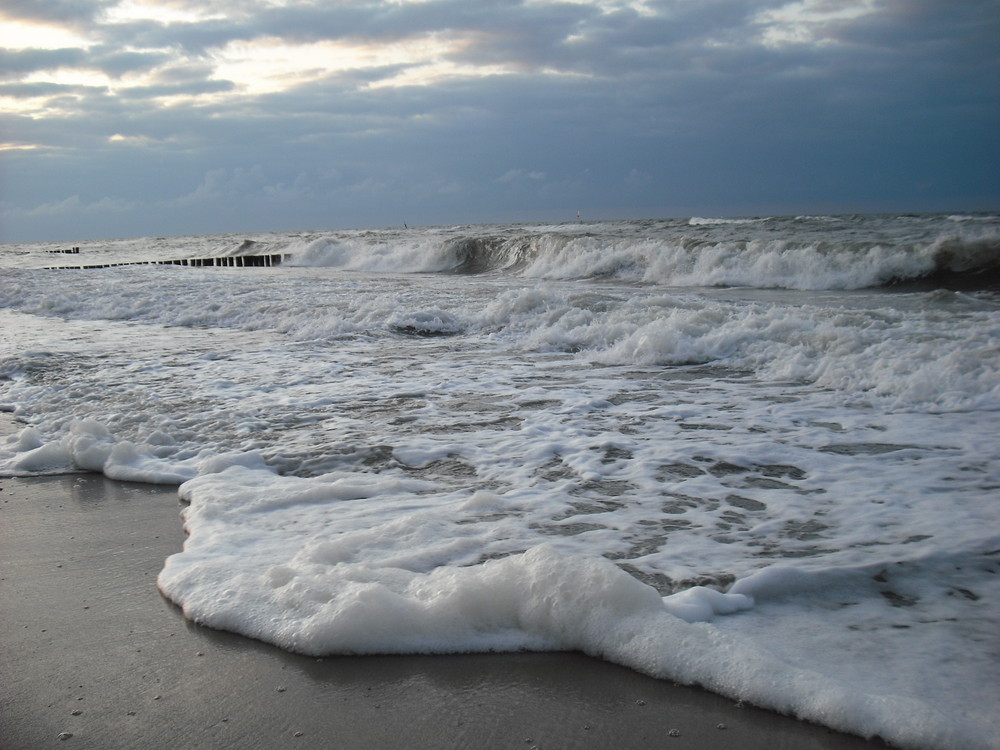 Wellen im Wind