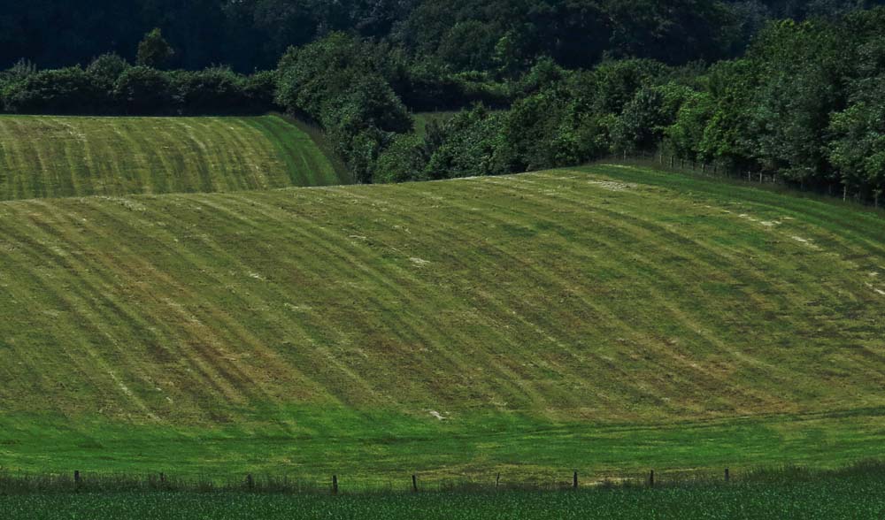 "Wellen" in Schleswig-Holstein ...