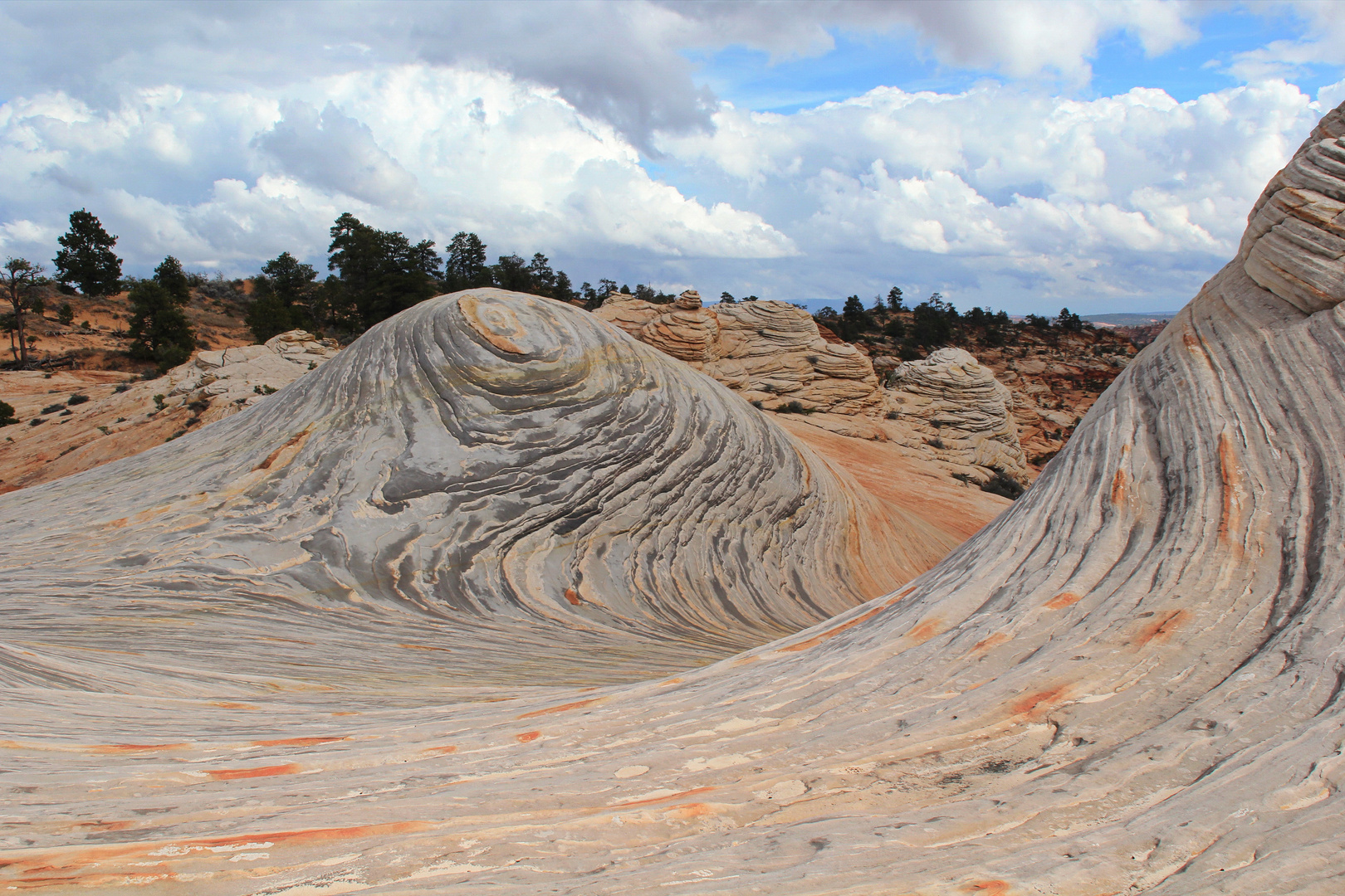 Wellen in Stein - White Domes oder auch "White Wave"