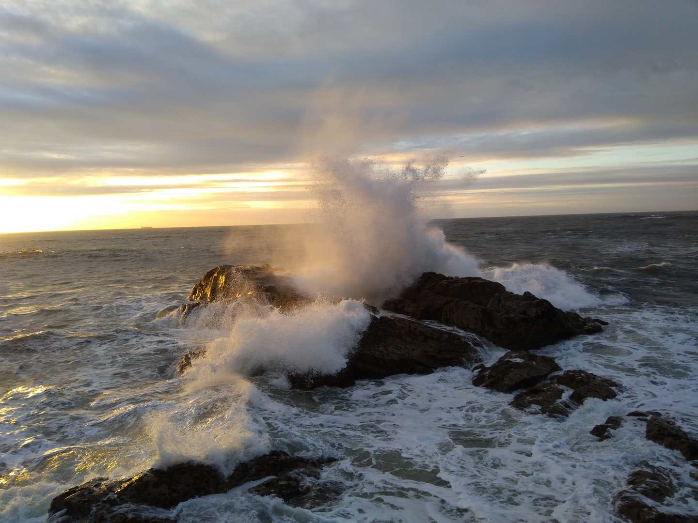 Wellen in windigem Porto im Februar