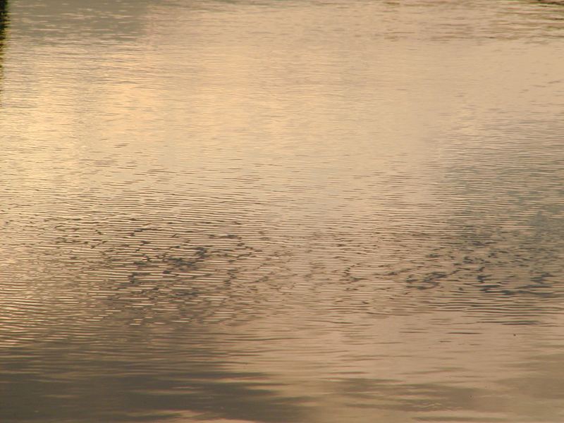 Wellen- und Lichtspiel im Lippewasser des Stadthafens