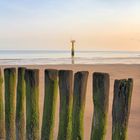 Wellenbrecher am Strand von Cadzand