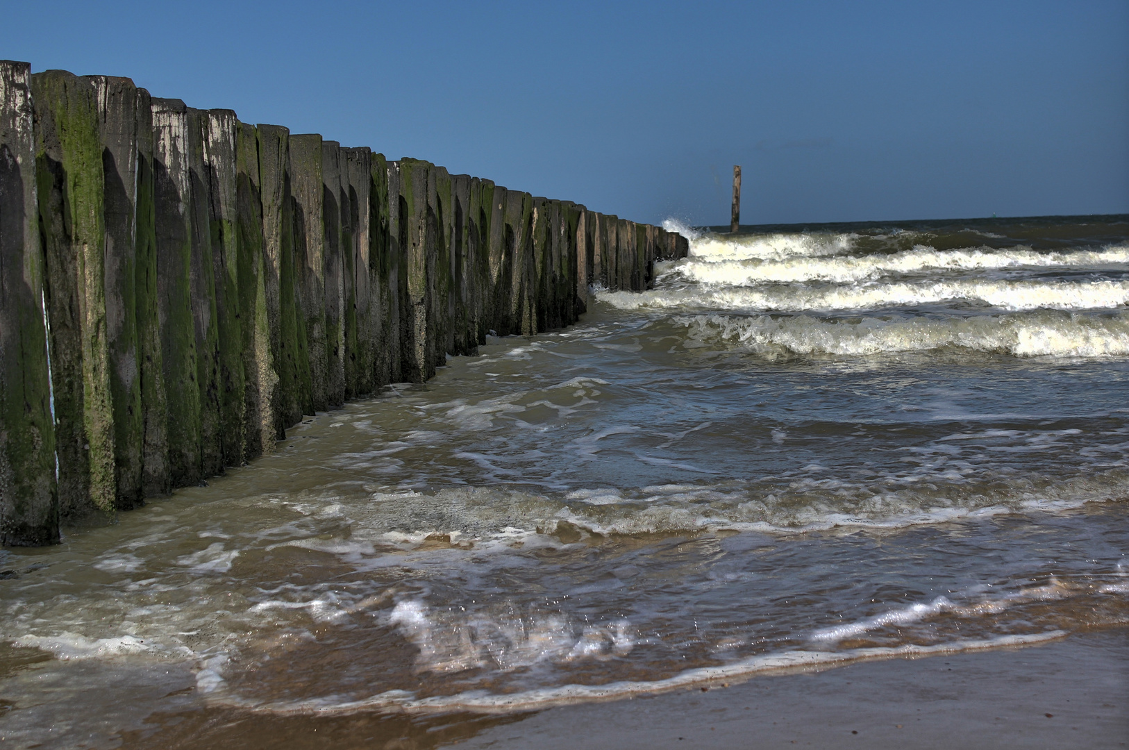 Wellenbrecher am Strand von Cadzand bei der Arbeit