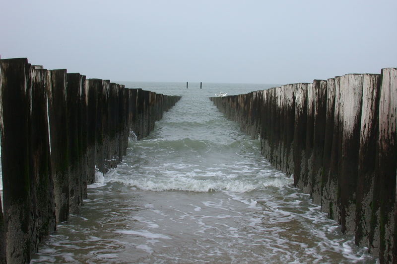 Wellenbrecher am Strand von Domburg (NL)