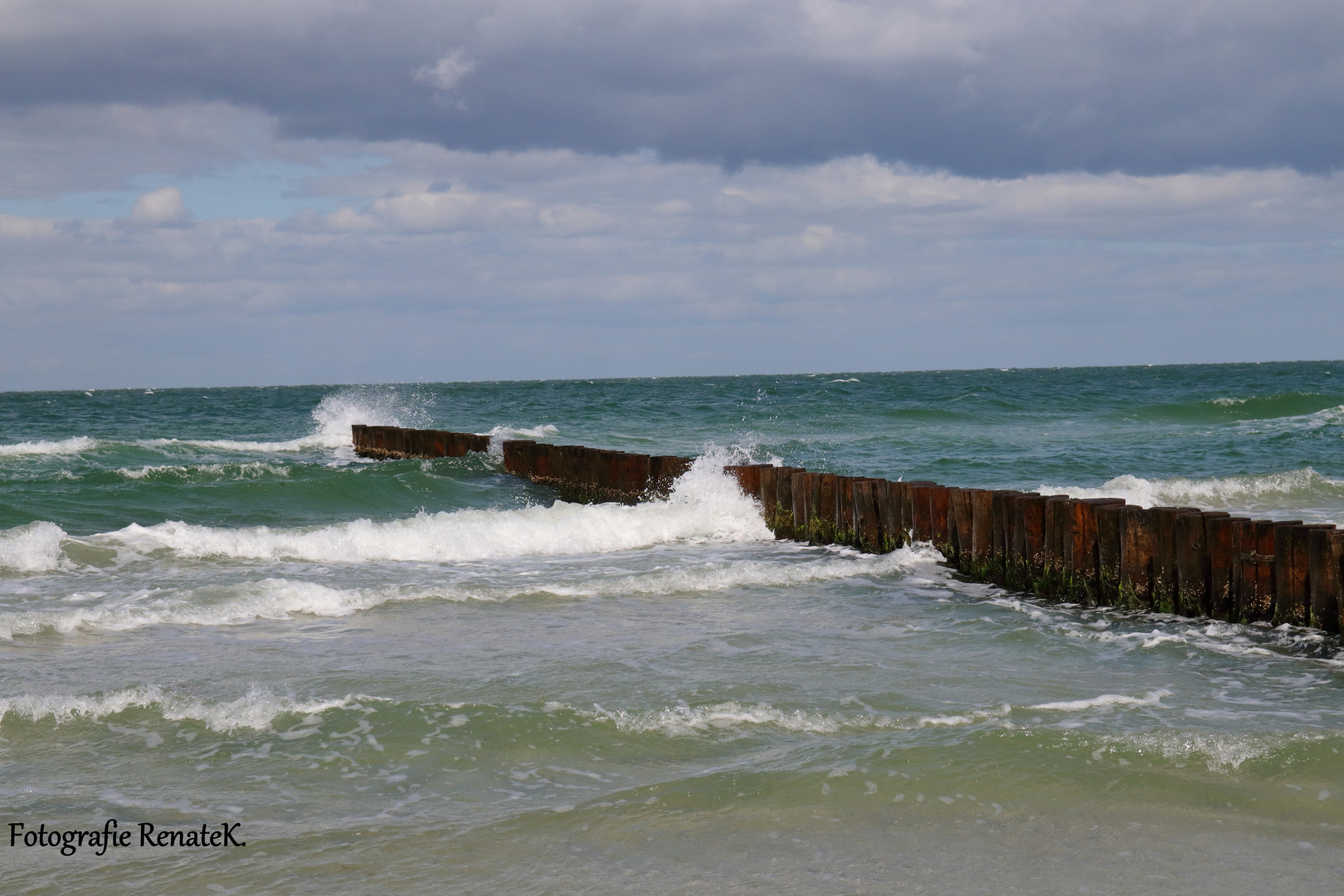 Wellenbrecher am Strand von Zingst