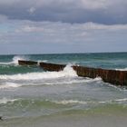 Wellenbrecher am Strand von Zingst