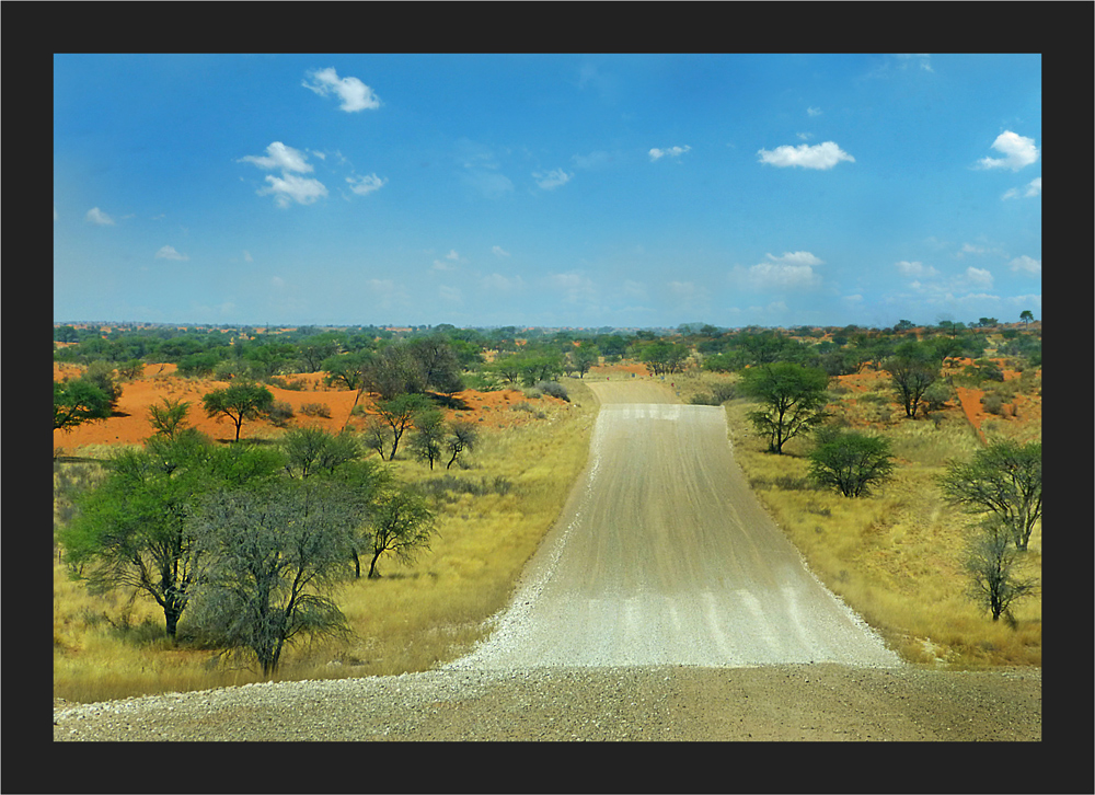 Wellenfahrt in der Kalahari