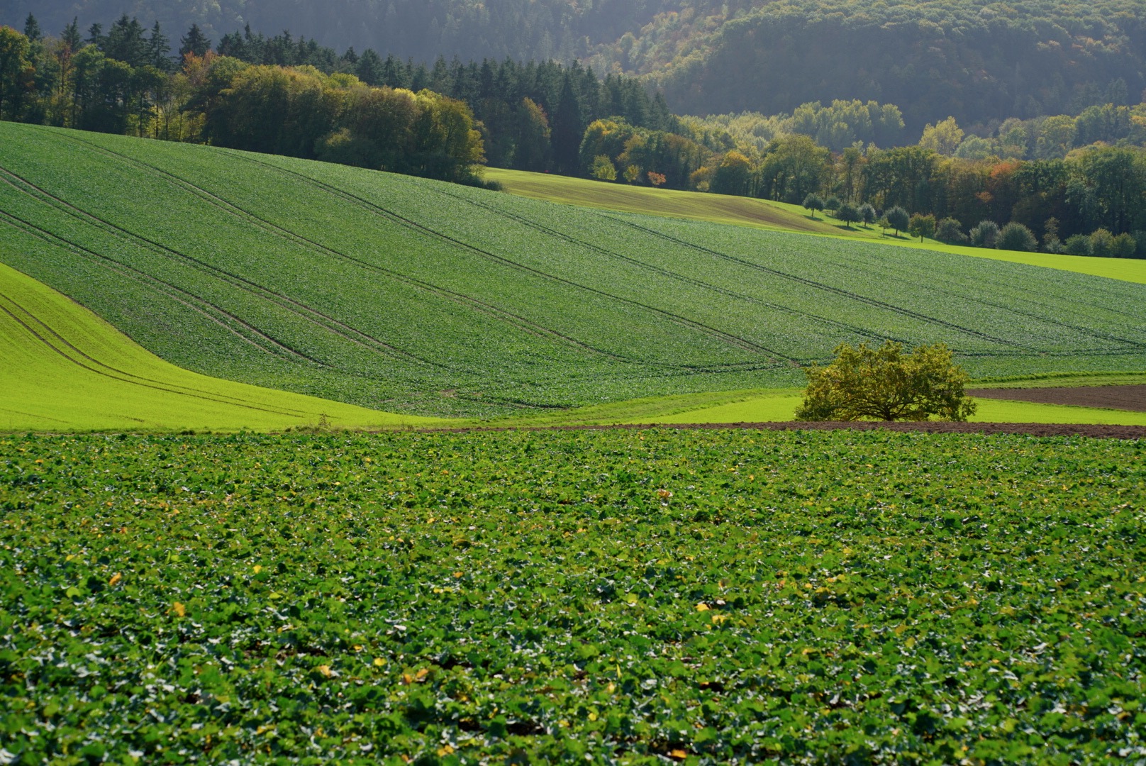 Wellenlandschaft 