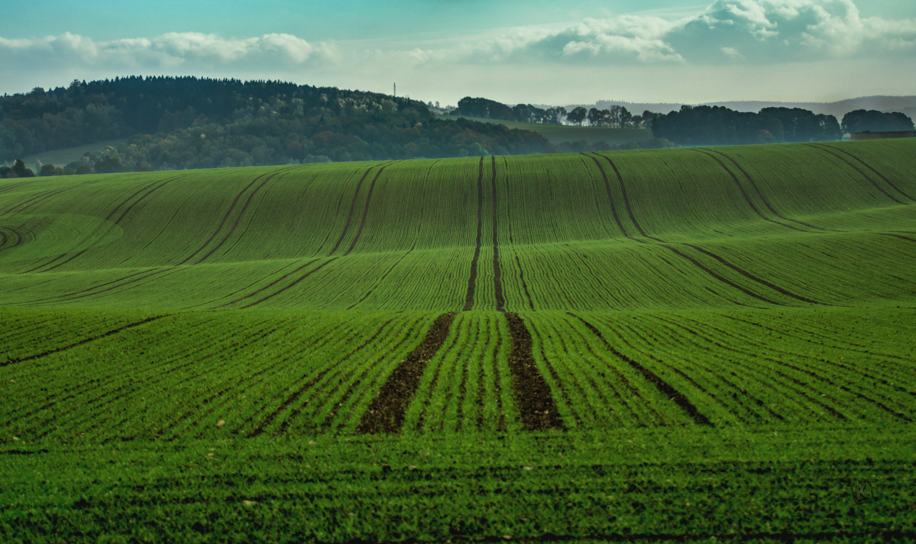 Wellenlandschaft im trüben Herbst