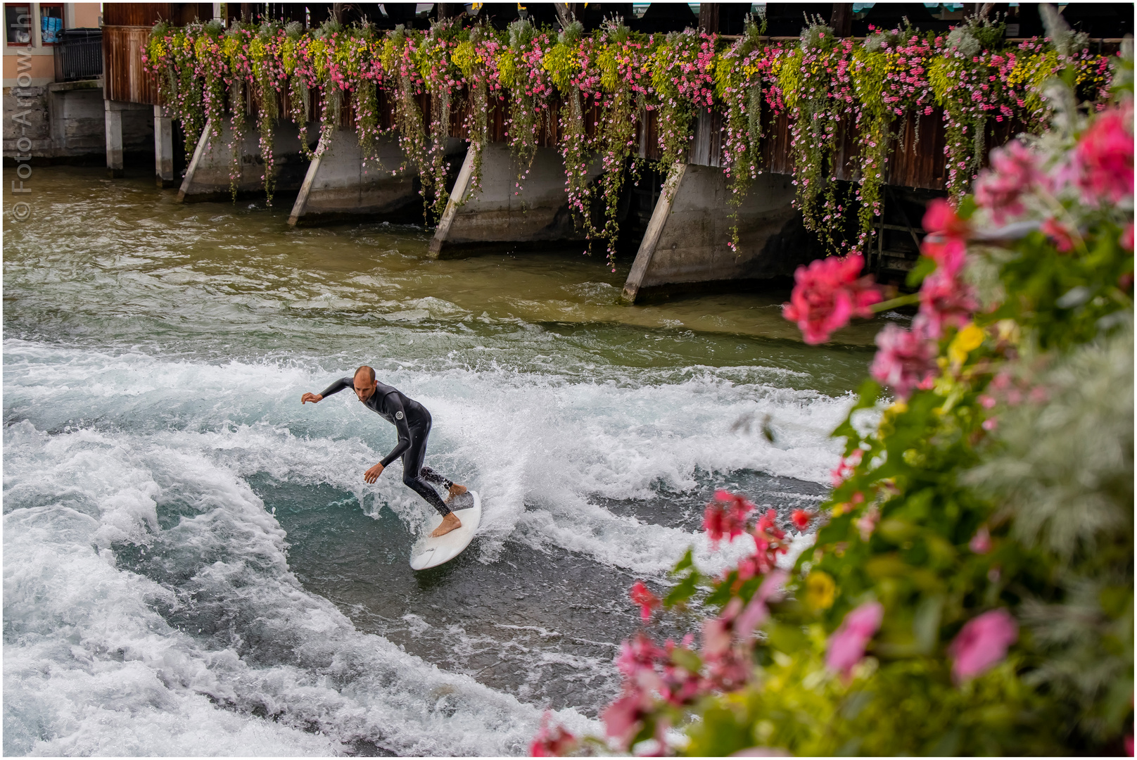 Wellenreiter in Thun an der Aare