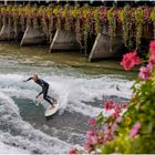 Wellenreiter in Thun an der Aare