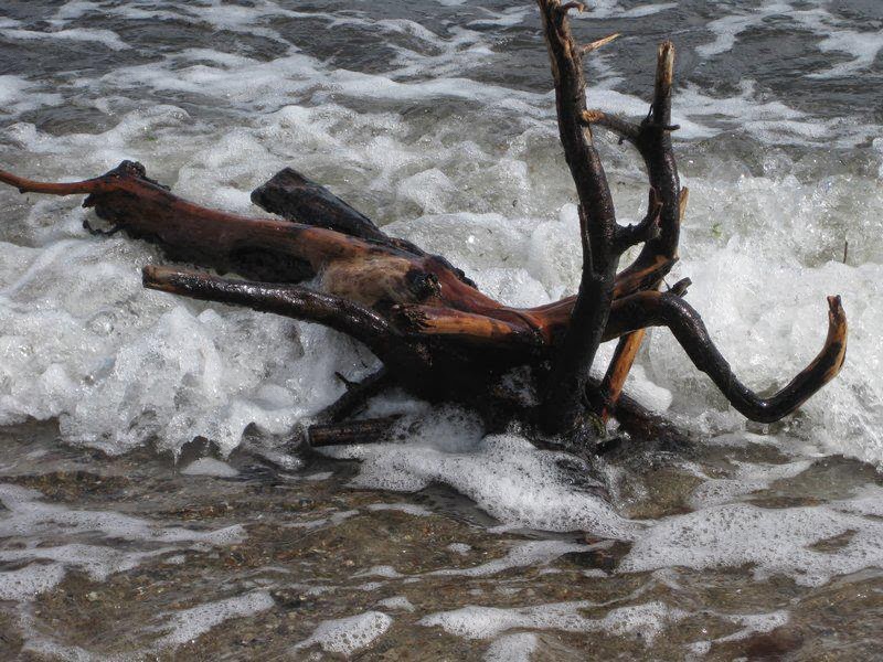 Wellenschaum vor Fehmarn