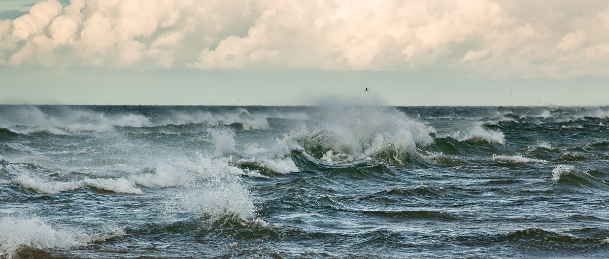 Wellentreffen [Skagen - Grenen]