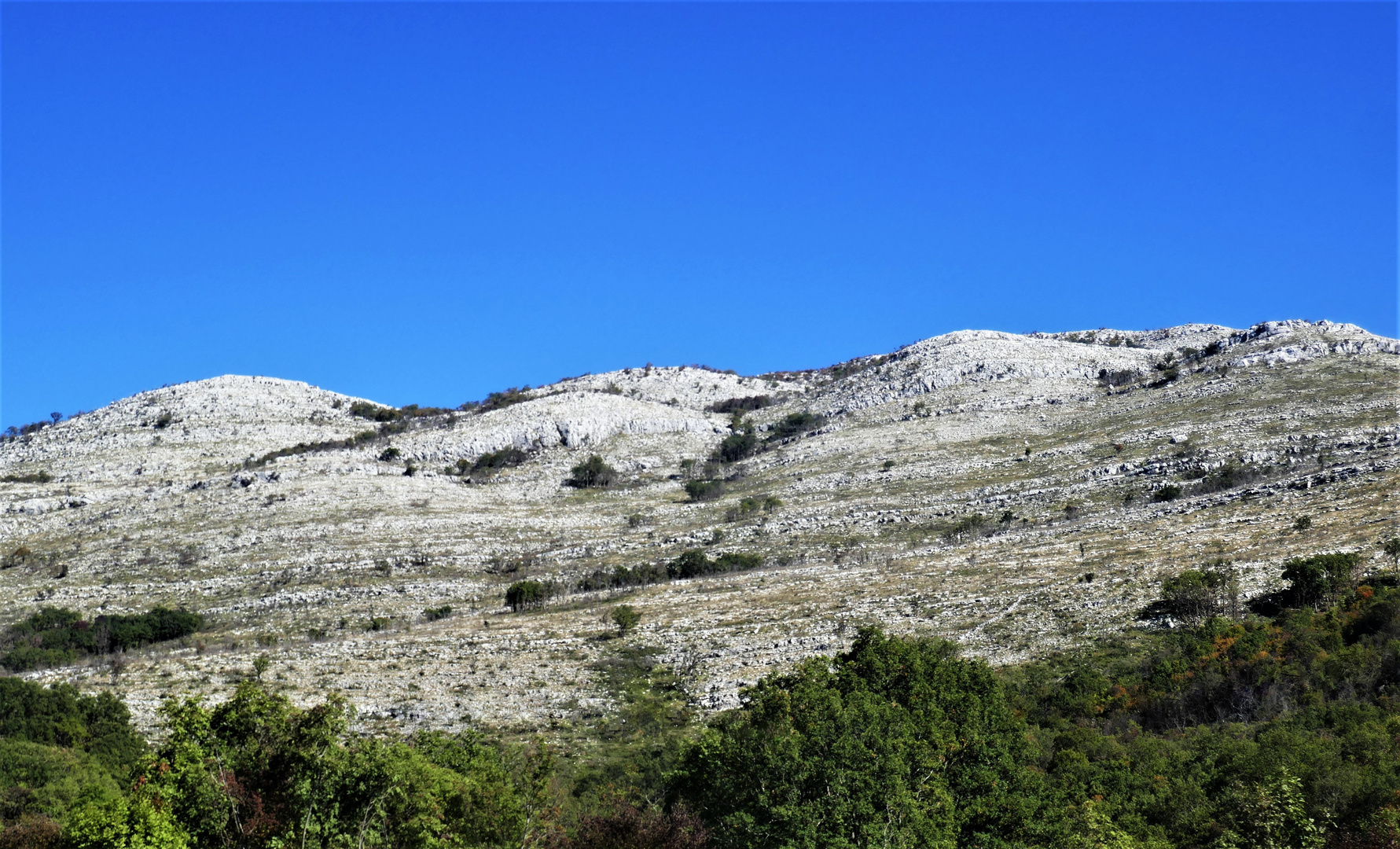 Wellige Karstlandschaft