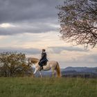 Wellin Frau auf einem Pferd