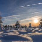 Wellin Winterlandschaft