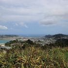 Wellington