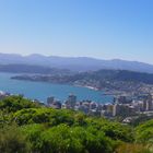 Wellington