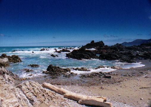 wellington beach