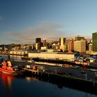 Wellington Harbour