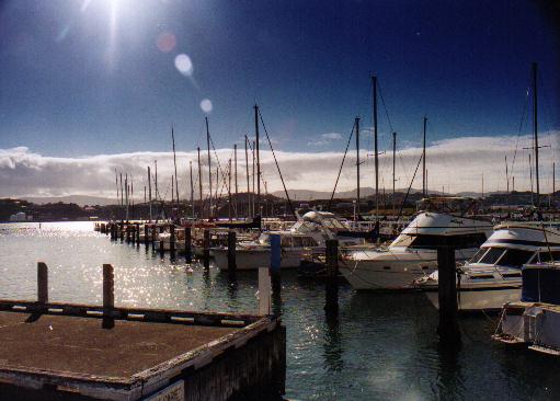 wellington harbour