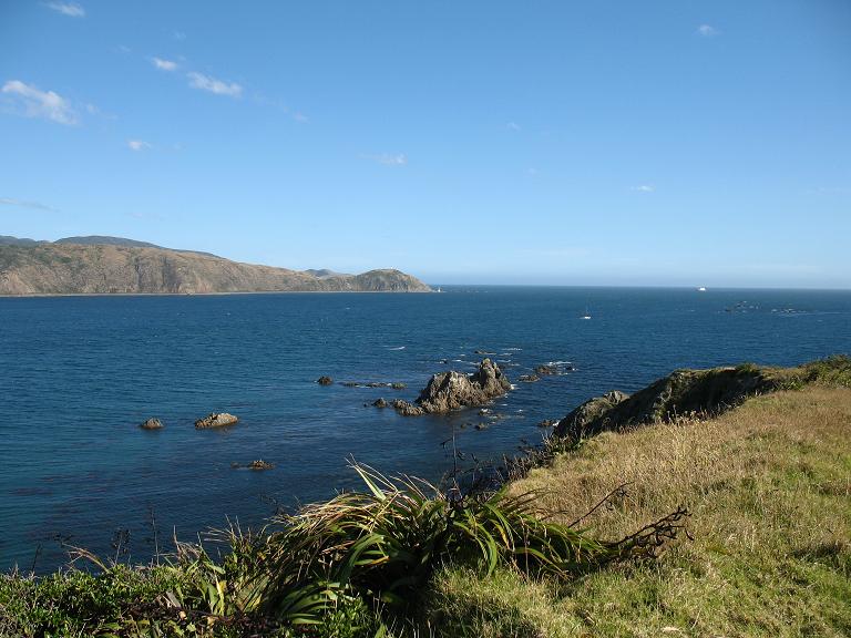 Wellington Harbour Entrance