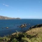 Wellington Harbour Entrance