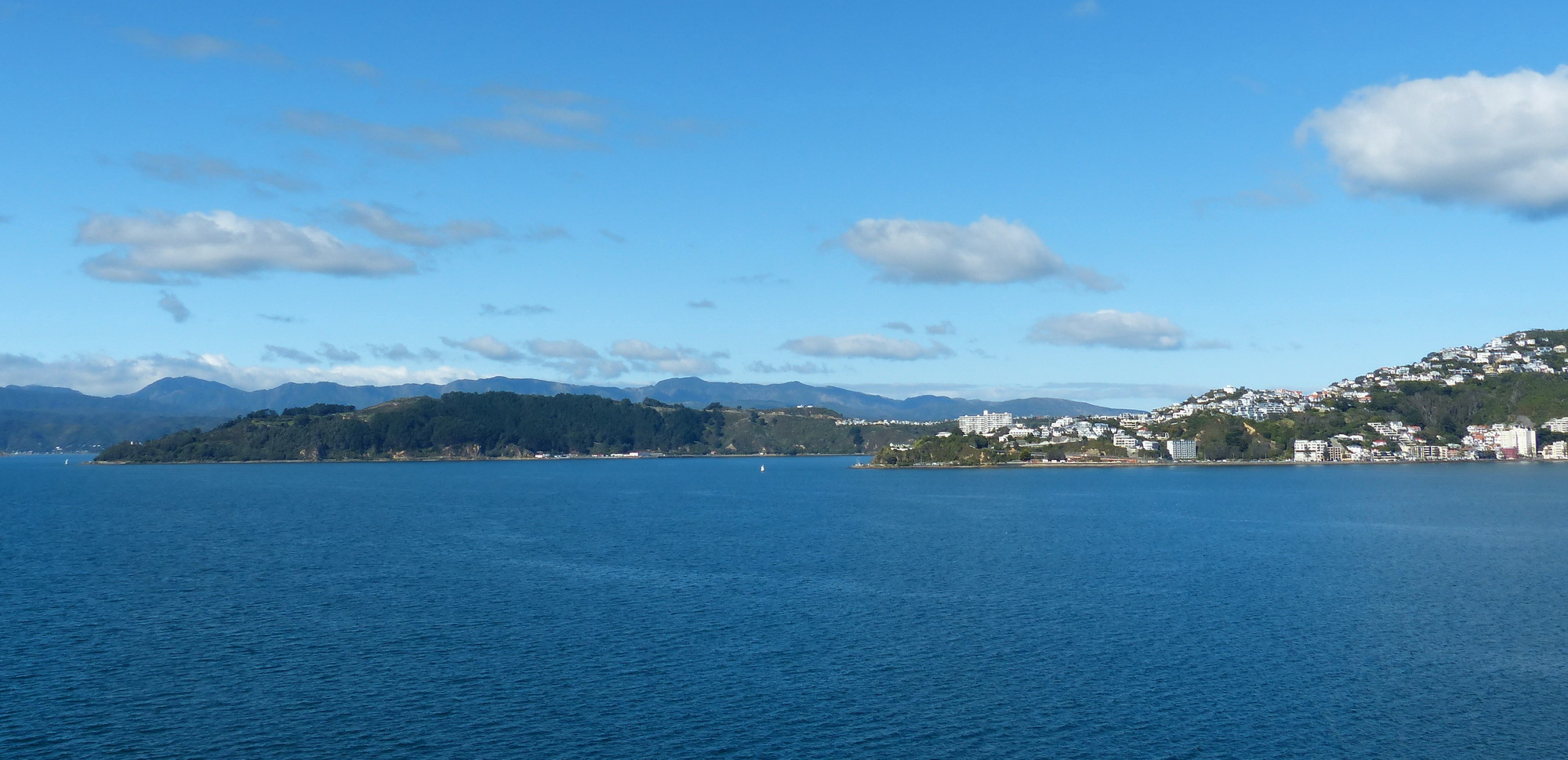 Wellington. N.Z.