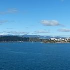 Wellington. N.Z.