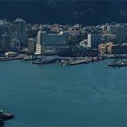 Wellington Panorama