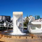 Wellington Sculpture: Albatros