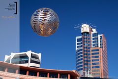 Wellington Sculptures: Ferns