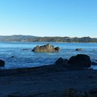 Wellington, Shipwreck Coast