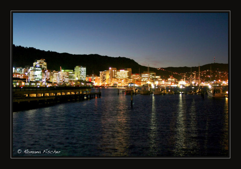 Wellington Skyline