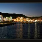 Wellington Skyline