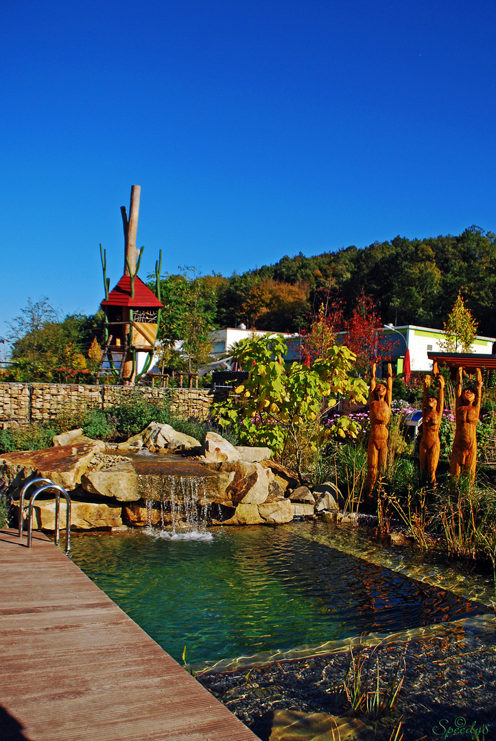 Wellness im Schwimmteich