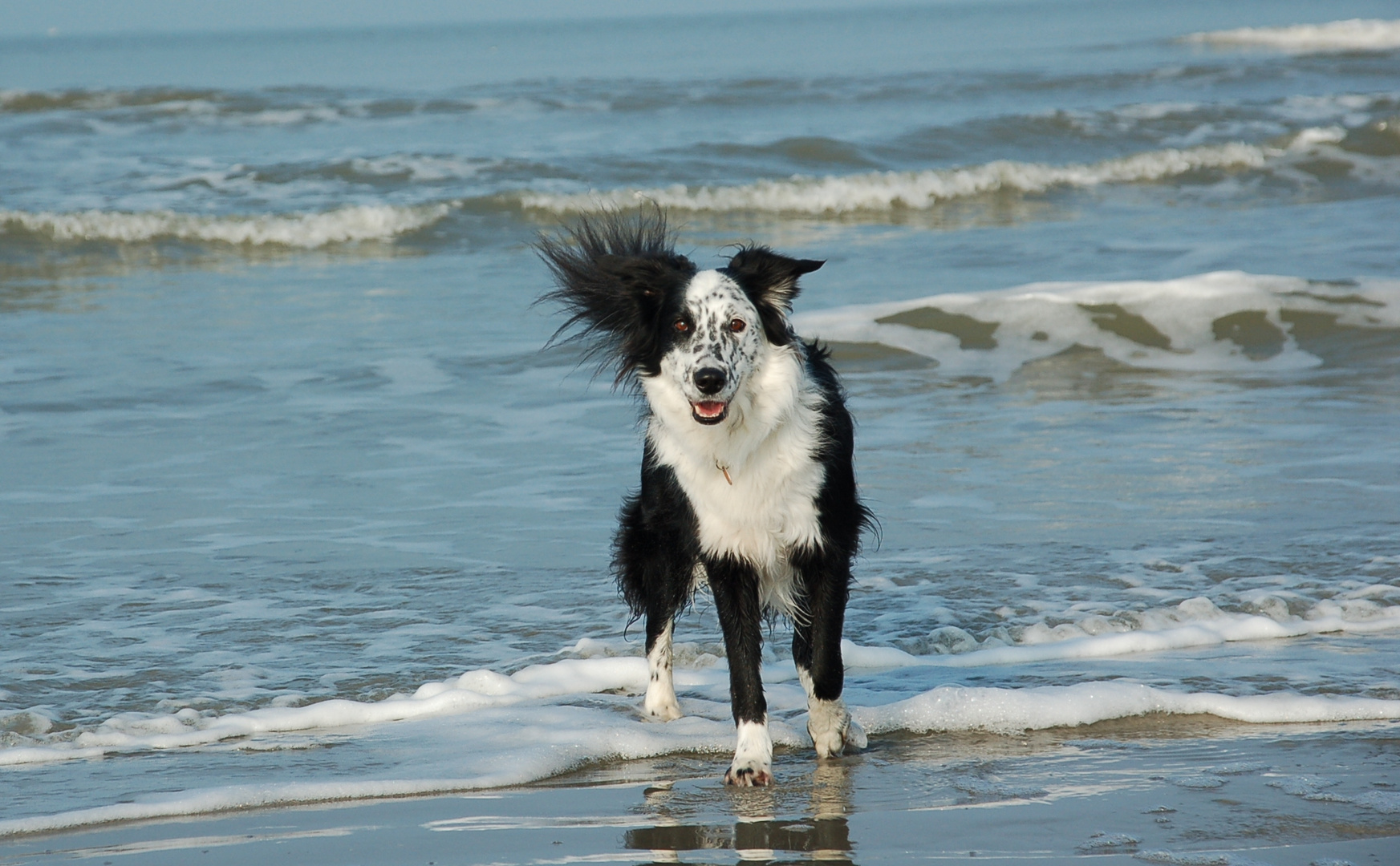 "WELL...ness Tag am Meer"