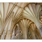 Wells Cathedral 6