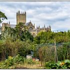 Wells Cathedral and the Bishop's Garden