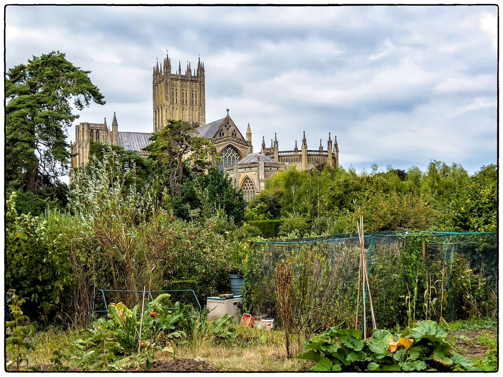 Wells Cathedral and the Bishop's Garden